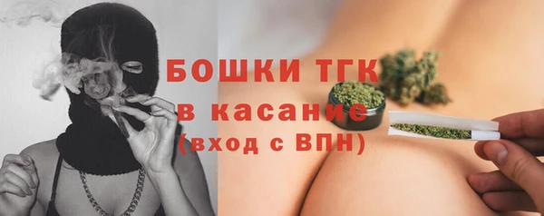 Альфа ПВП Бородино