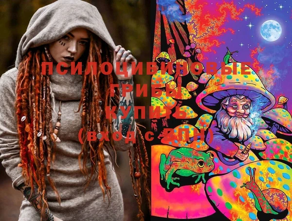 МДПВ Богданович