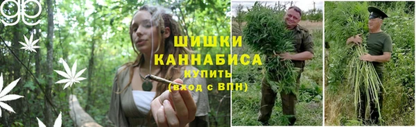 Альфа ПВП Бородино